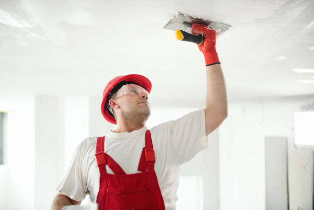 Professional Mold Removal in Mcarthur, OH